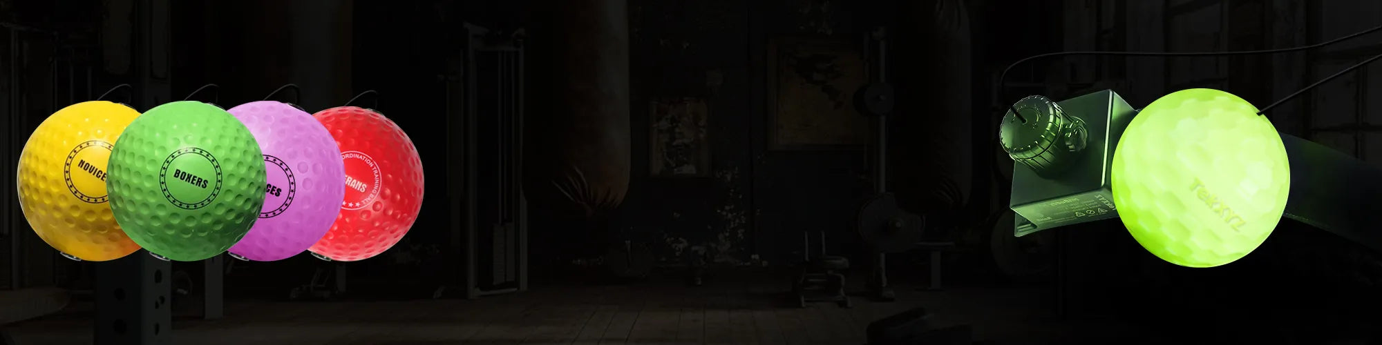 Main Collection Desktop Banner